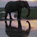 Botswana Gallery 01