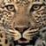 Leopard of Savute