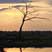 Savute Sunset