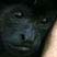 Bright Eyes