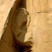 Sphinx 02