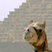 Pyramids 04