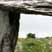 Poulnabrone Dolmen