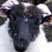Sheep of the Burren