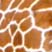 Giraffe Nursing