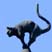 Riga Cat on House Roof